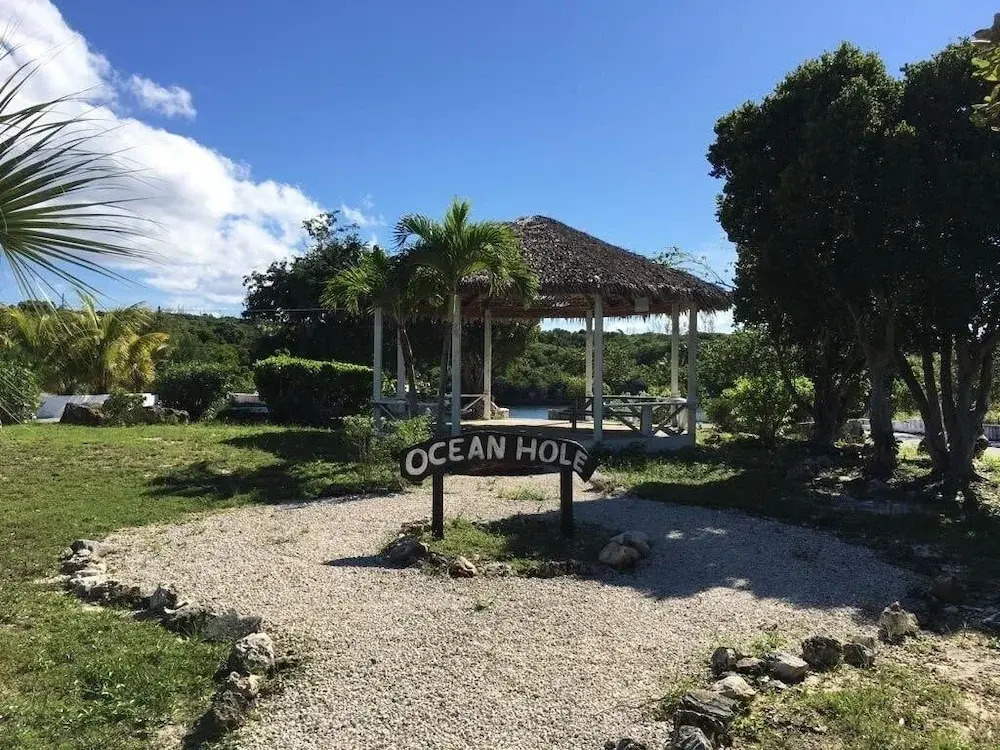 Sand Dollar Cottage cottage