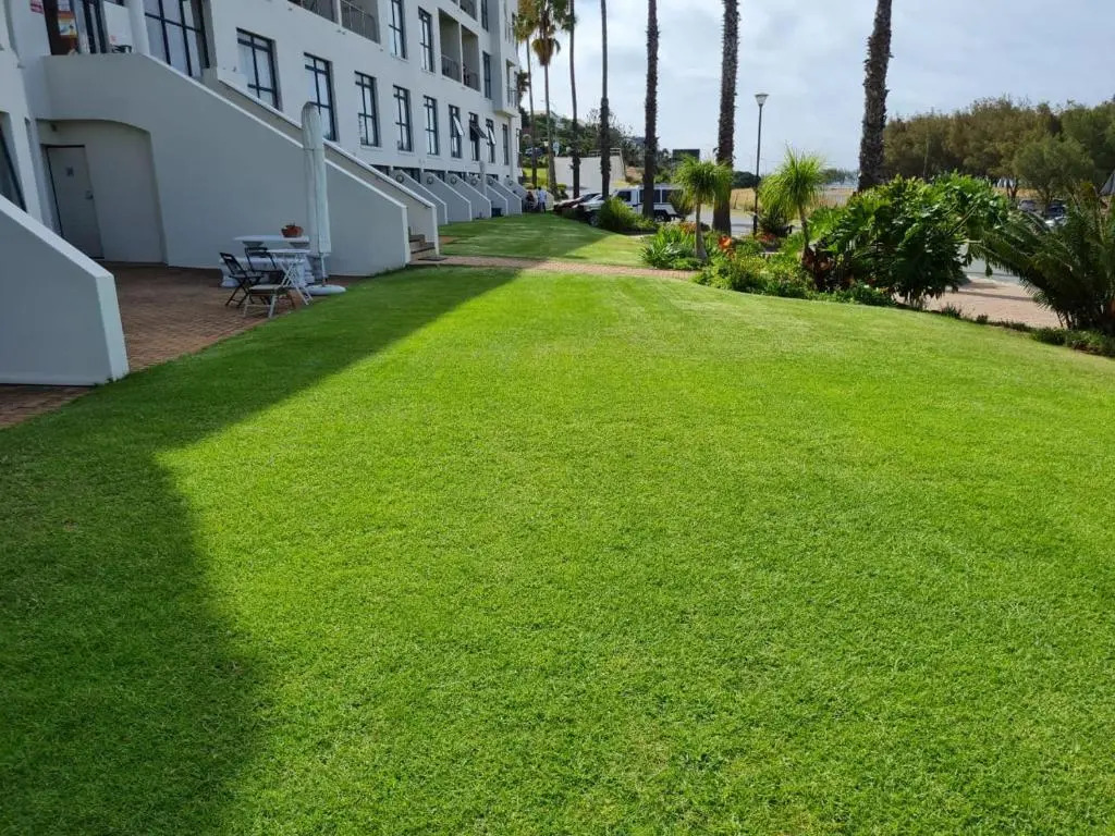 Point Village Accommodation - Santos 11