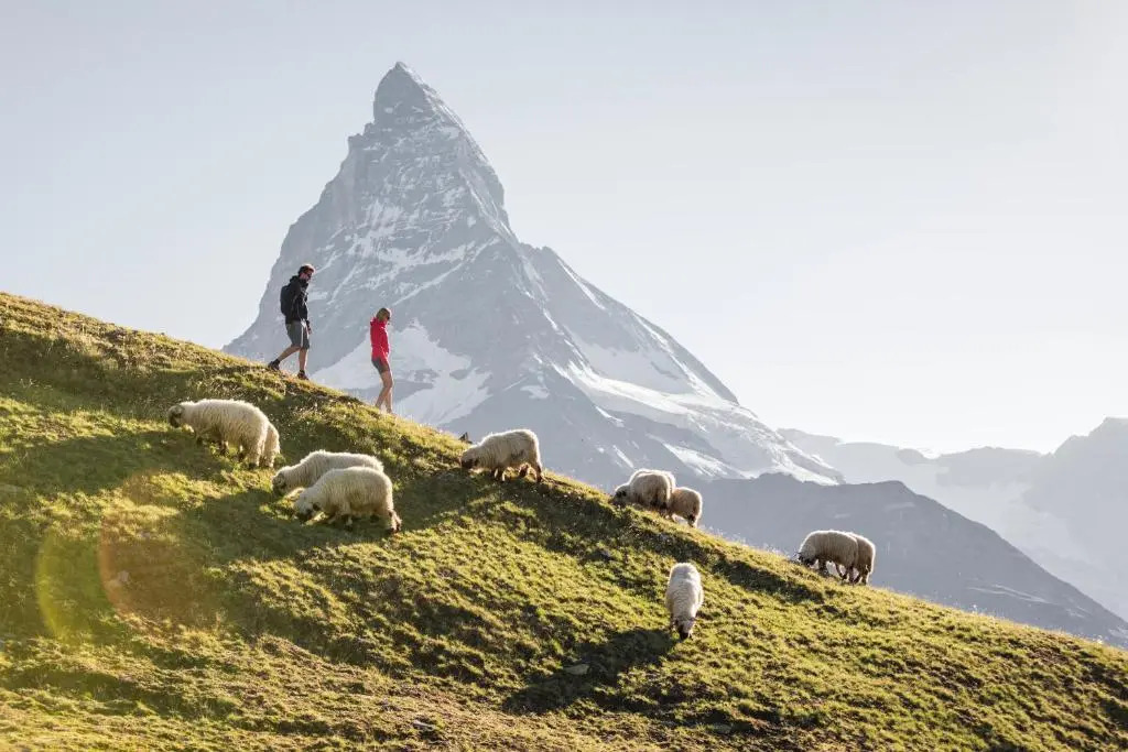 Haus-Ascot-Zermatt