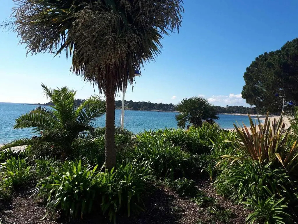 Camping De La Plage