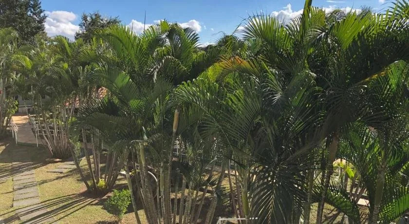 Hotel Gran Minas