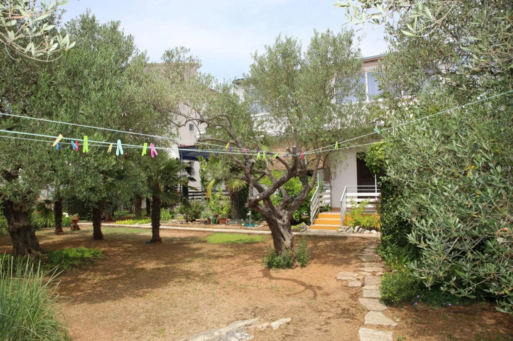 Araz - Parking and Barbecue - A1