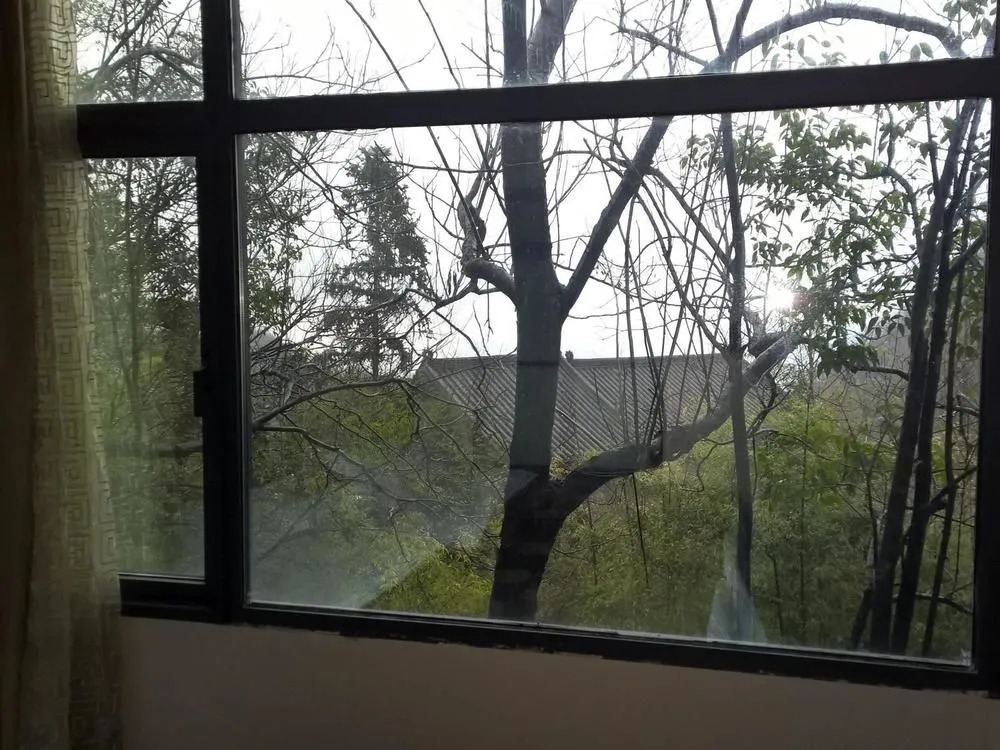 Wudangshan Nanyan Lodge