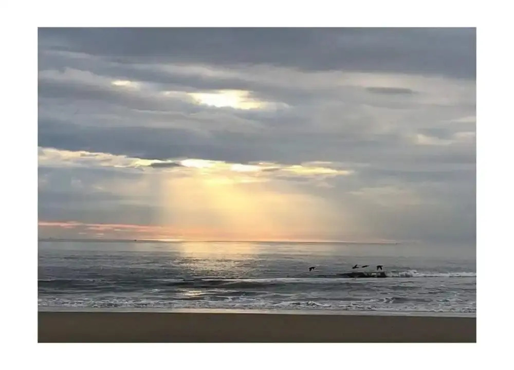 Sunny Shores of Huisduinen