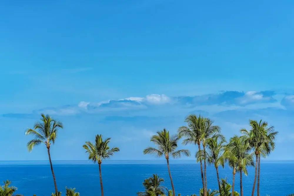 Discover Wailea Ekahi 39E - Breathtaking Ocean Views, Renovated, Wi-fi, Split AC
