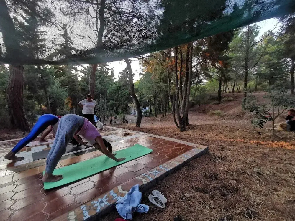 Drolma Ling Nature Cabins
