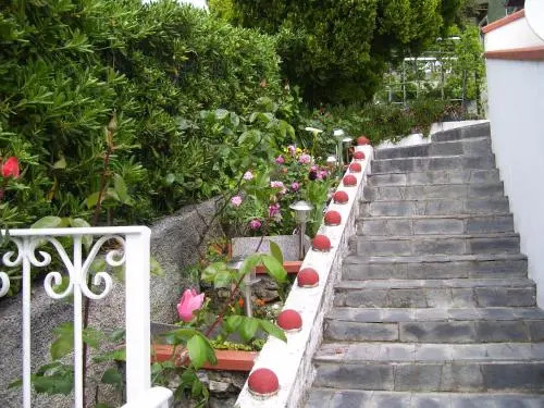 B & B Sachawasi
