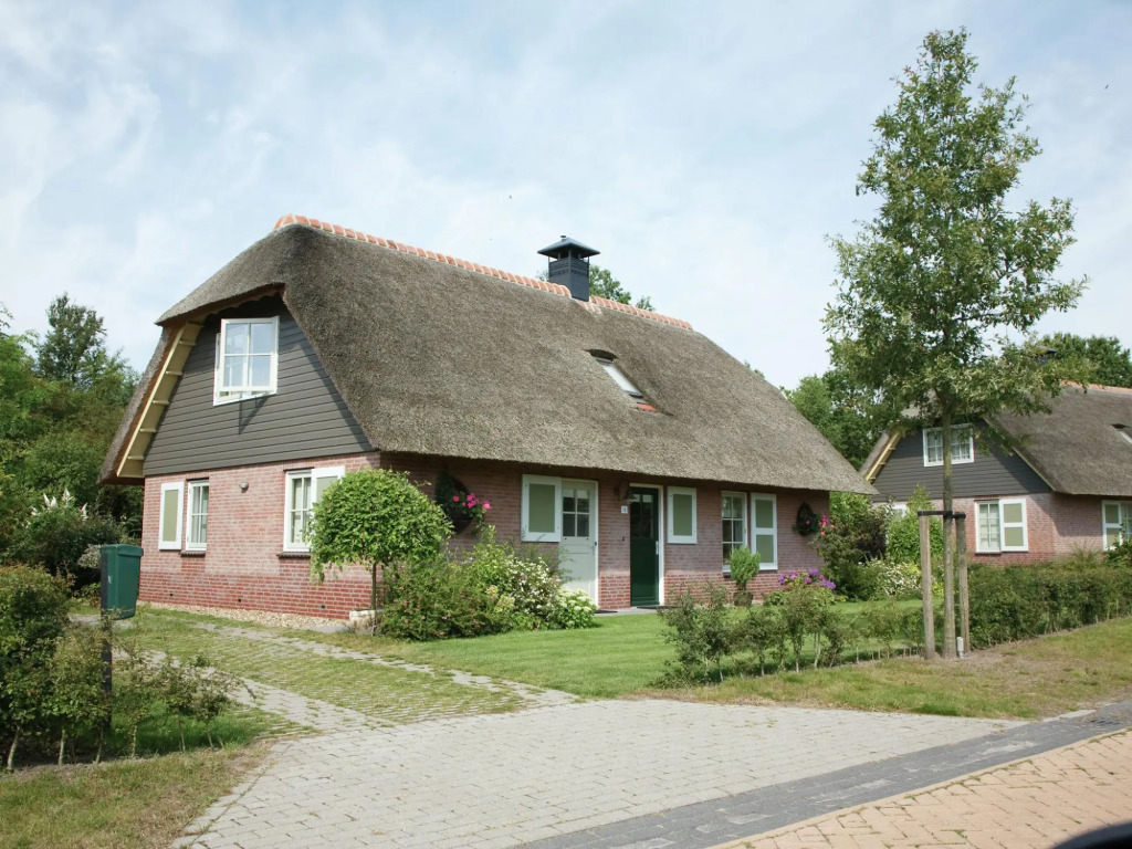Detached Holiday Home With two Bathrooms Near Appelscha