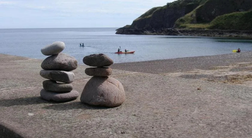 Twentyfourshorehead