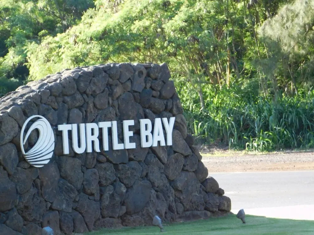 Turtle Bay Sea Shells**ta-154567065601 1 Bedroom Condo by RedAwning