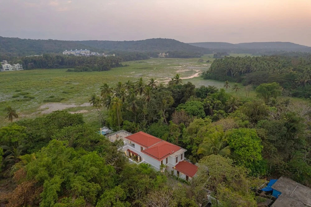 Loto Bianco in Siolim