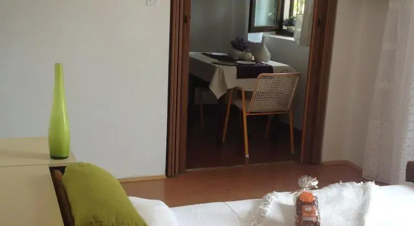 Bed and Breakfast Guest and Dogs Experience