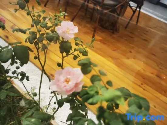 Xihai Yanshan Homestay