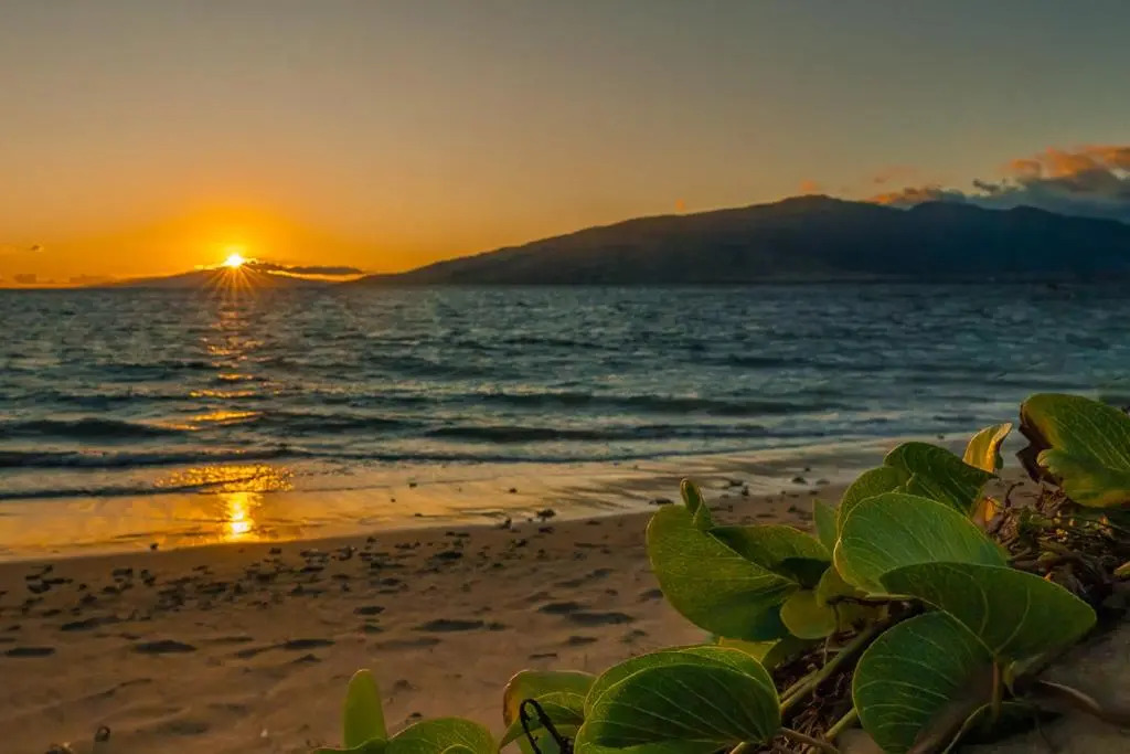 Maui Sunset B-115, 2 Bedrooms, Outdoor Pool, Tennis Court, Sleeps 4
