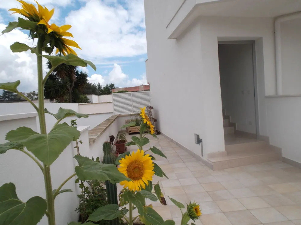 Belloluogo Guest House