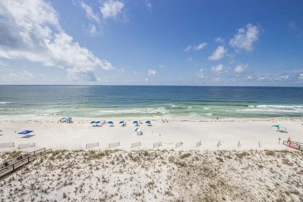 Dolphin Key #4B