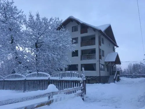 Pensiunea Vladut 2