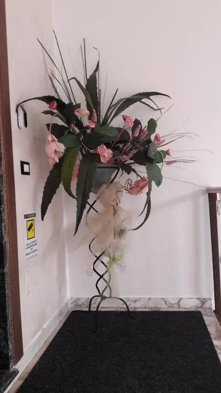 A New Guesthouse