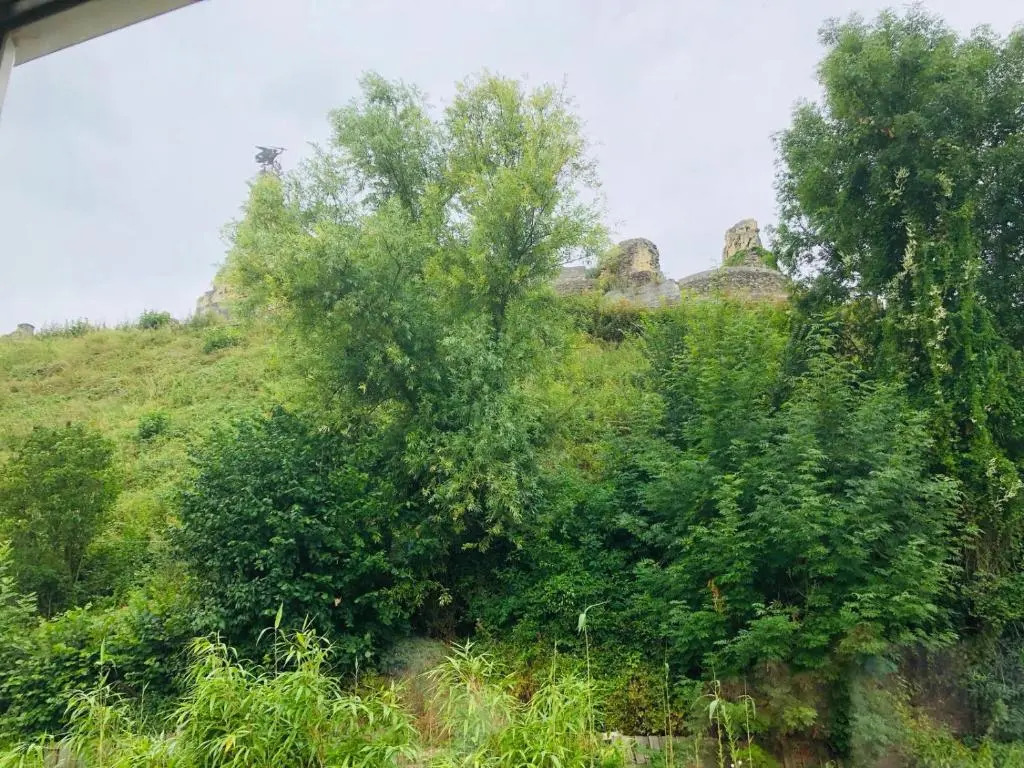 Castle View 2