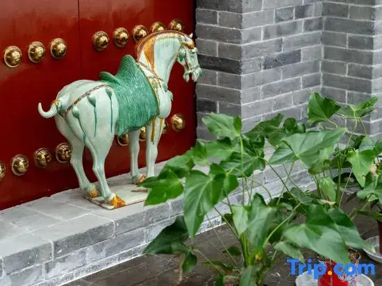 Zhongzhou International Hotel