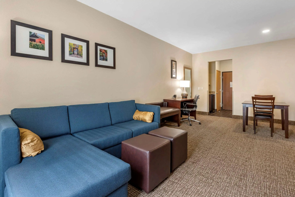 Comfort Suites Auburn near I-69