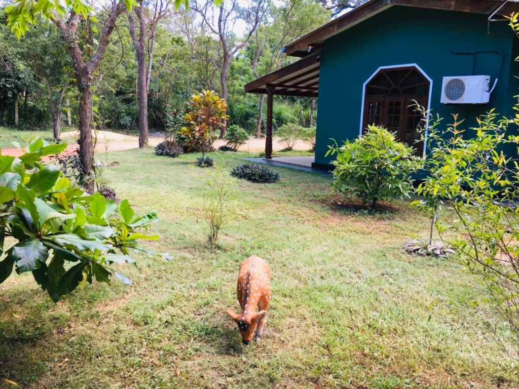Greenwood Hotel Sigiriya