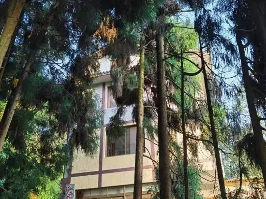 Emeishan Friendship Hotel