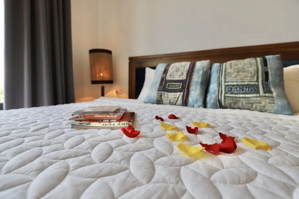 Stay Dao Tan Hotel