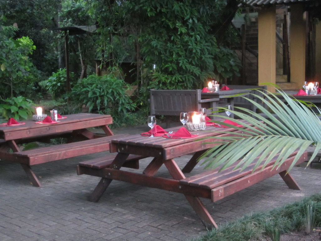 Gecko Lodge
