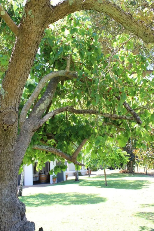 Fairlawn Estate