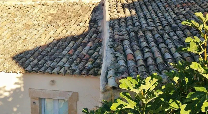 Giardino dei fichi dIndia