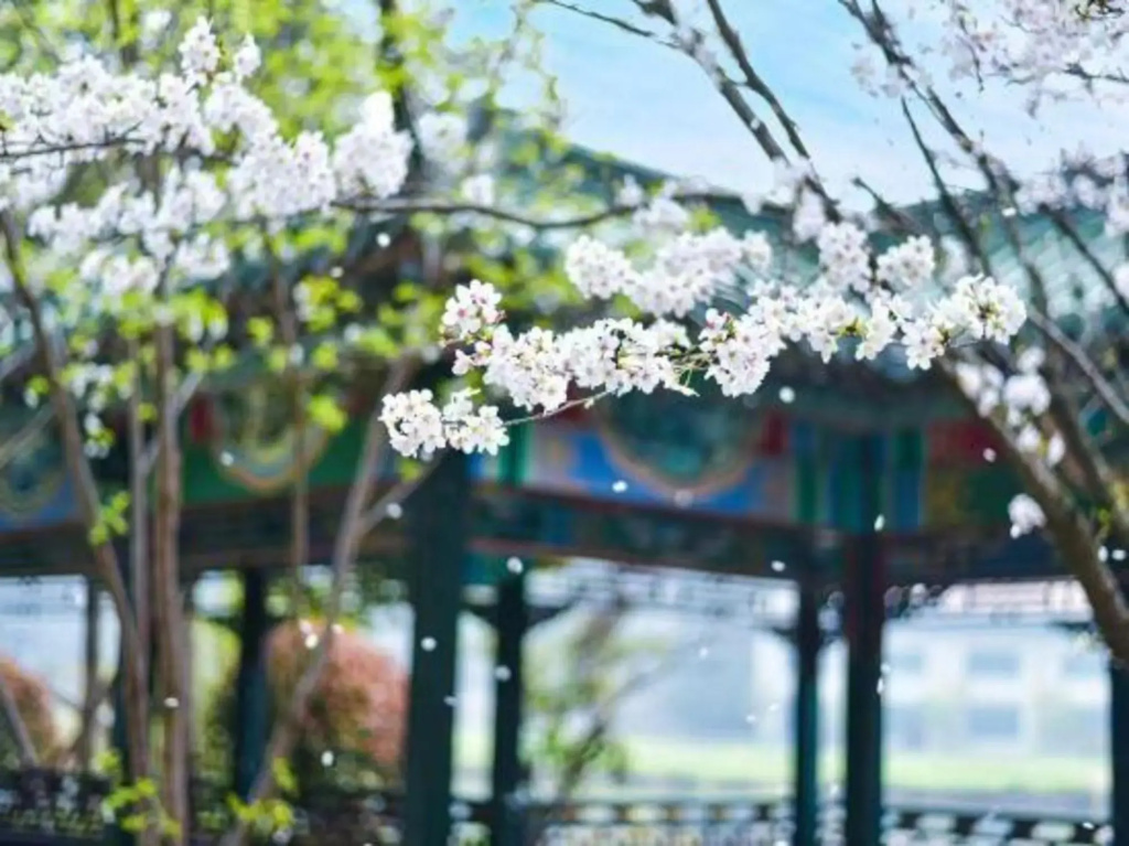 Taixuhu Holiday Hotel