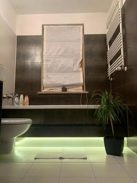 Uroczy apartament w centrum miasta