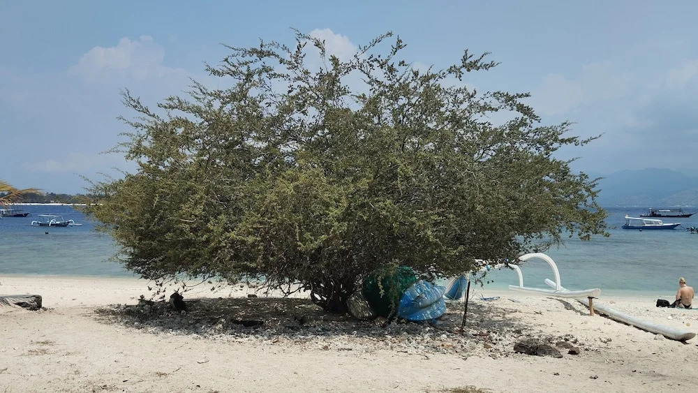 Energy Melati Gili
