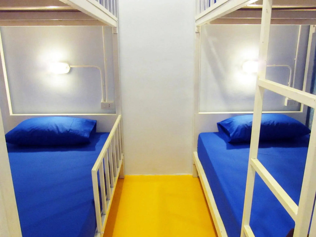 Treechart Hostel