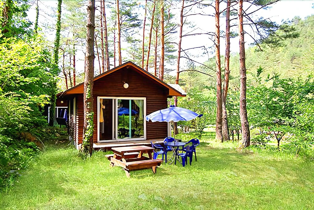 Yangyang Forest Home Pension
