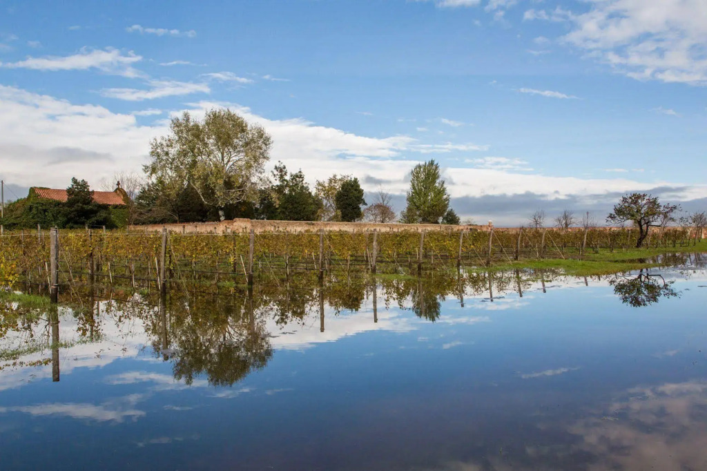 Venissa Wine Resort