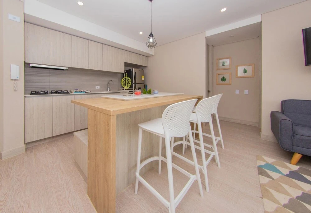 Luxury Apartment