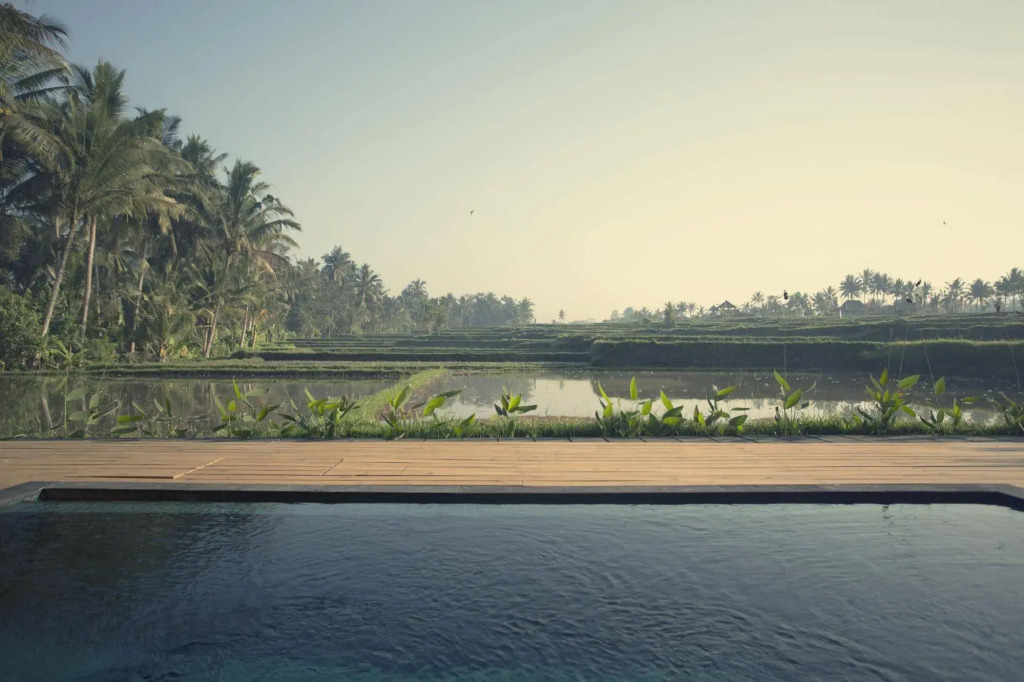Manyi Village Ubud