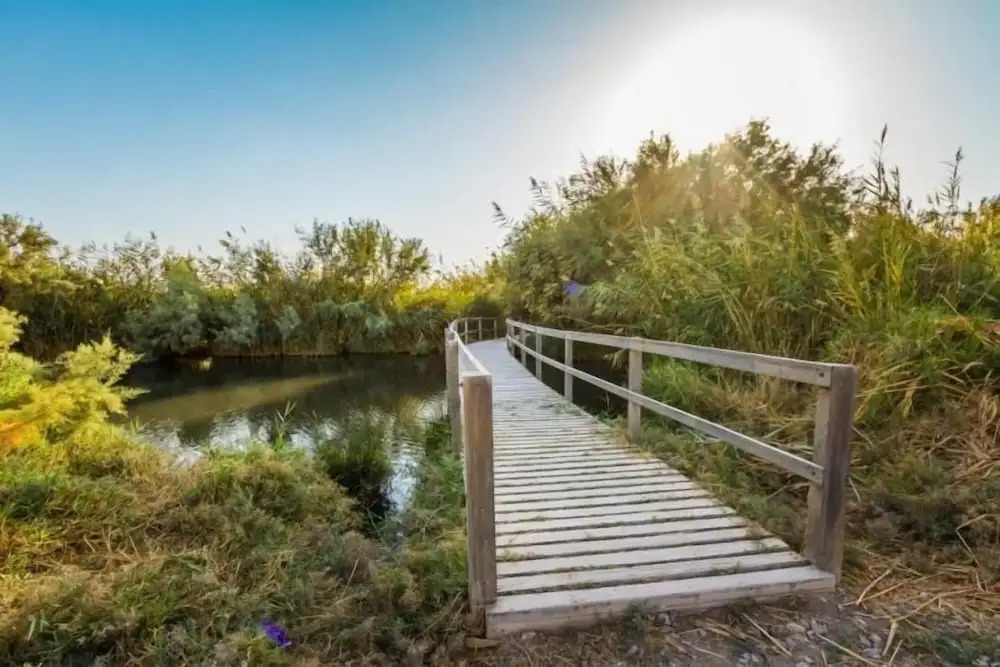 Azraq Lodge