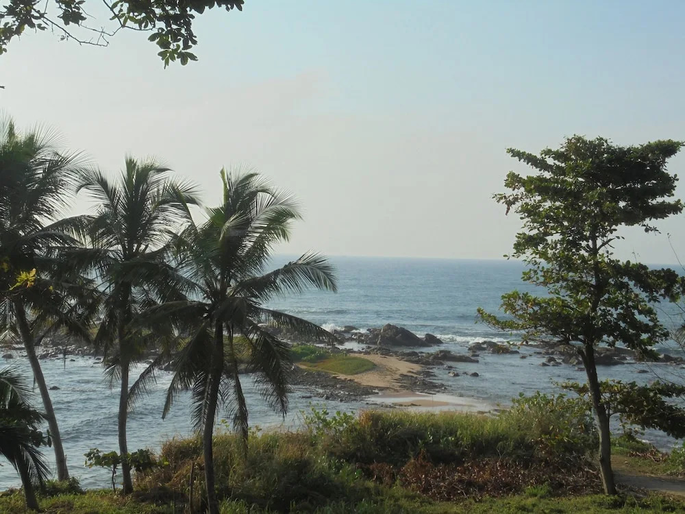 Eagle Homestay