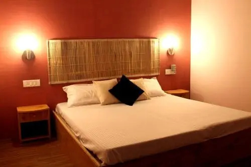 Bro's Backpacker's Fraternity House