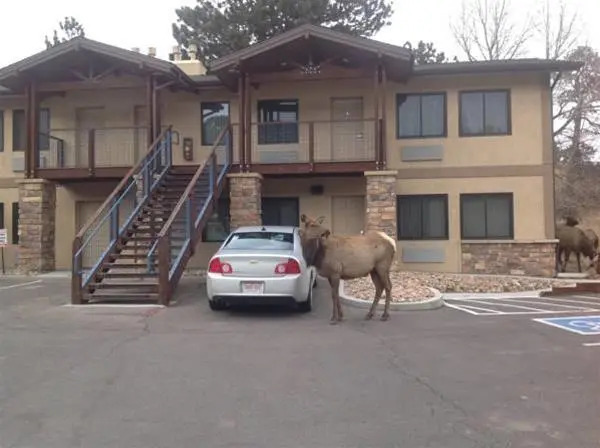 The Haber Motel
