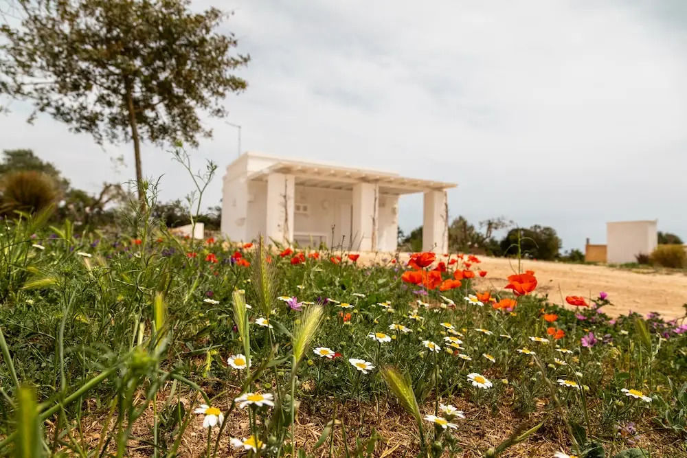 MASSERIA SCALEDDA