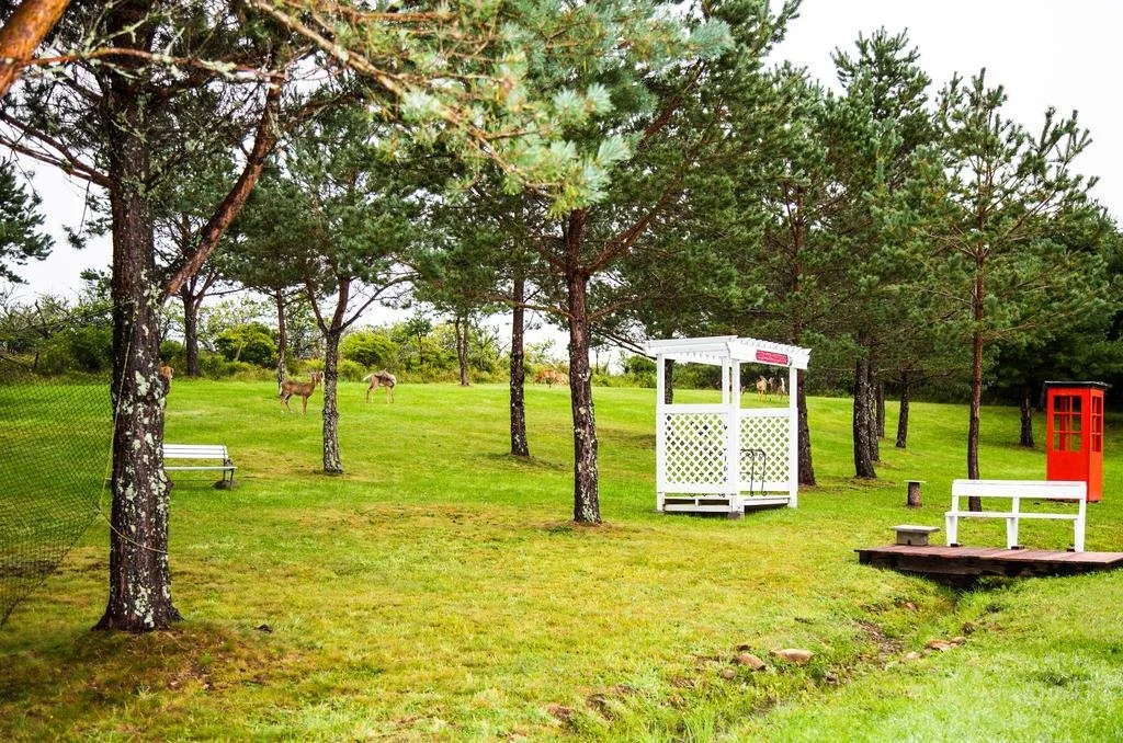 Wheelhouse Motel