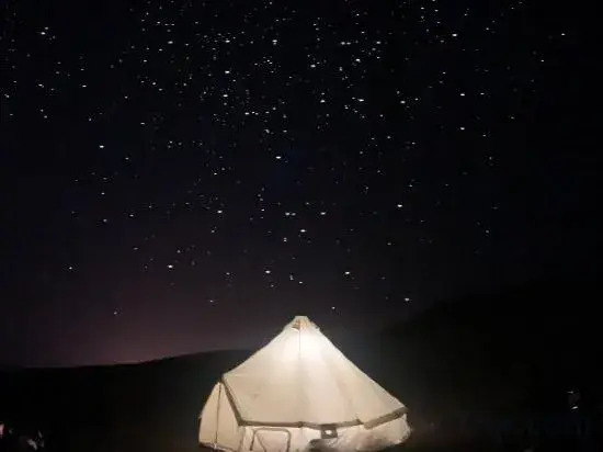 Flower House Girl Desert Camping Base