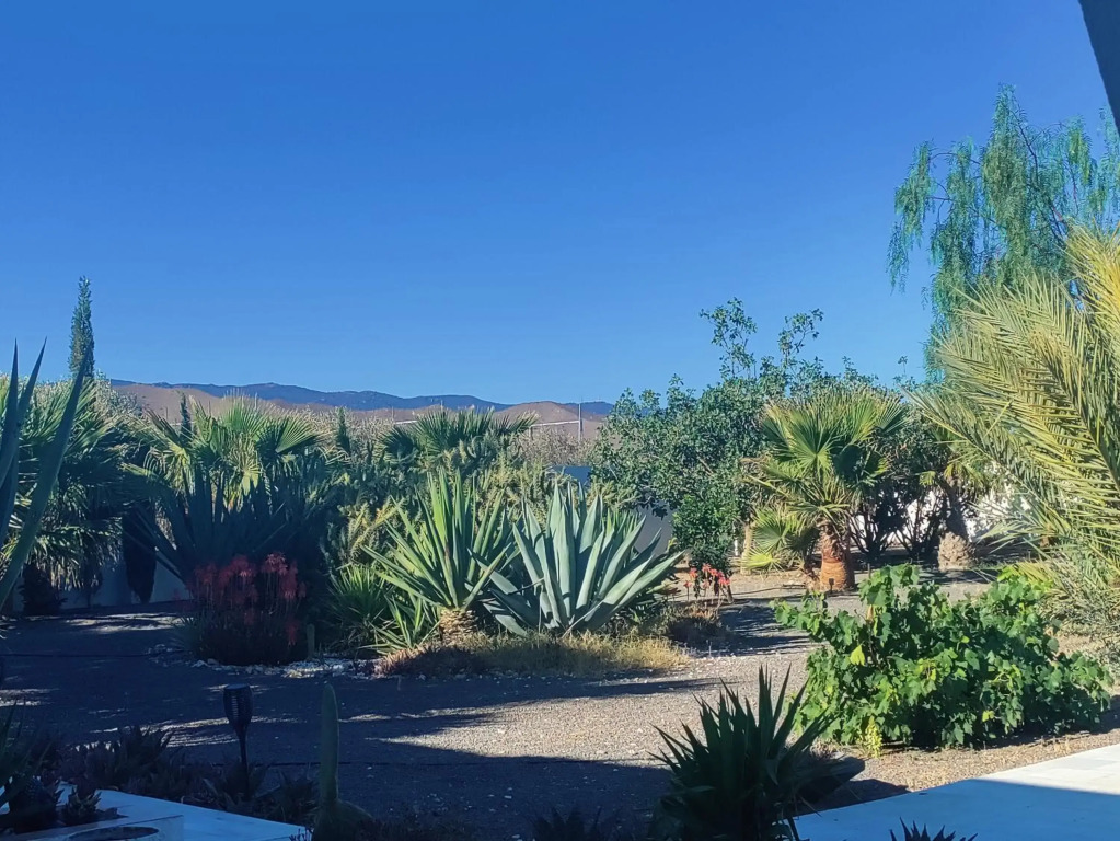 Cortijo Oro Verde B&B