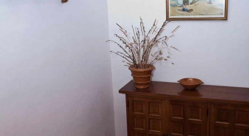 Apartamentos Llevant
