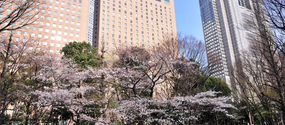 Tokyo Urban Flat Hotel 101