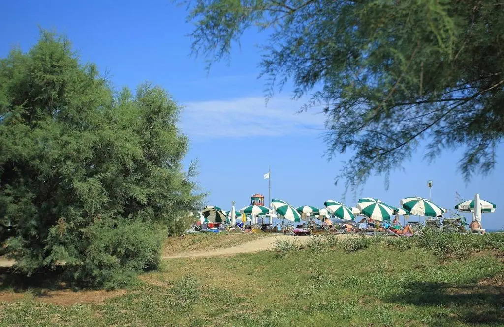 Villaggio Ai Pini Lido Altanea